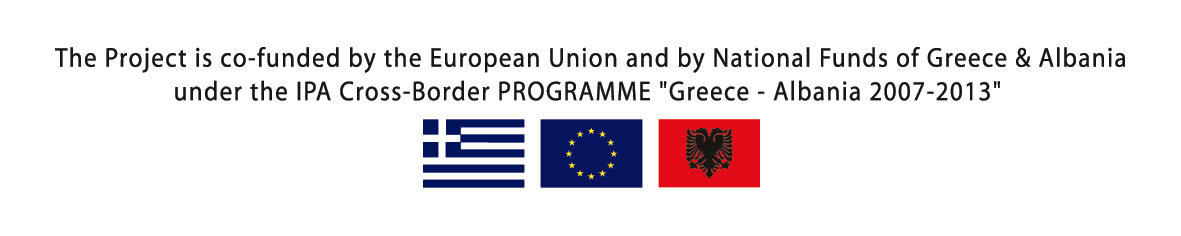 22.5.15 co financing statement